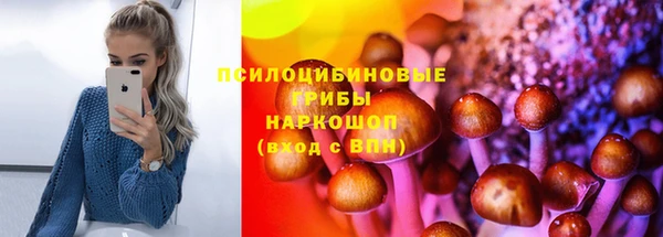 дмт Верея