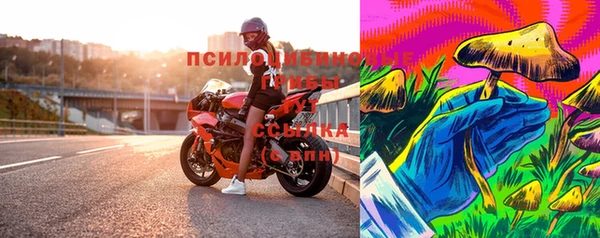 дмт Верея