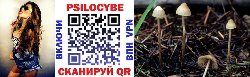 Псилоцибиновые грибы Magic Shrooms  Купить  Каменск-Шахтинский 